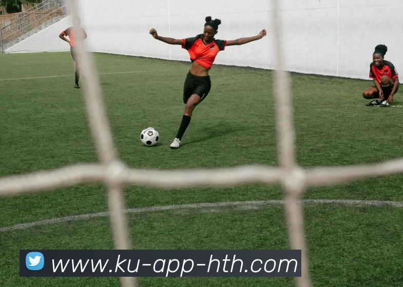 华体会平台生态图